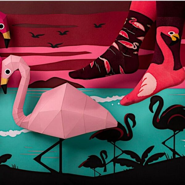Pink flamingo 1
